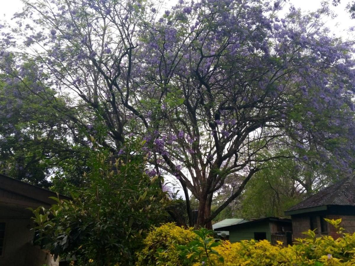 The Cottage-Place Of Grace 2Bdrm And Loft Bed All 4U At Usd58 Nairobi Exteriér fotografie