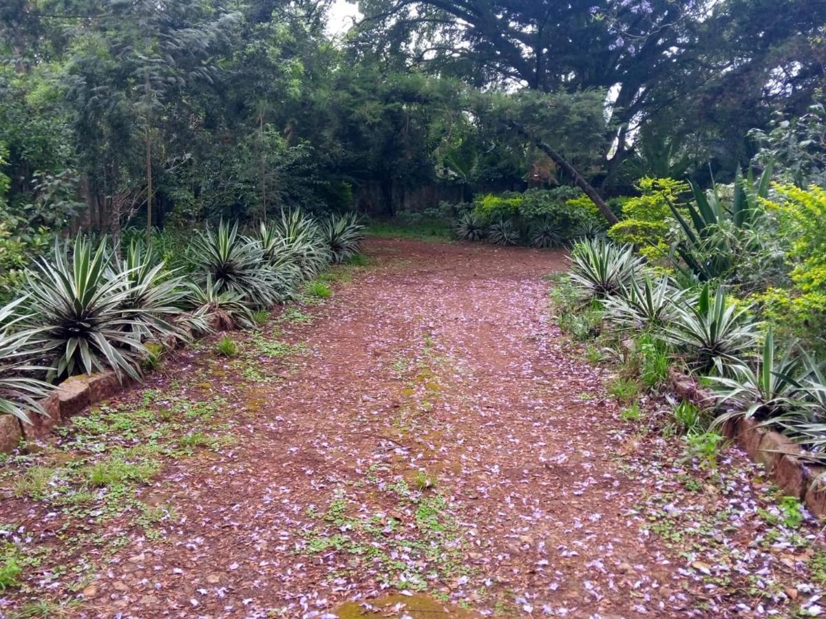 The Cottage-Place Of Grace 2Bdrm And Loft Bed All 4U At Usd58 Nairobi Exteriér fotografie