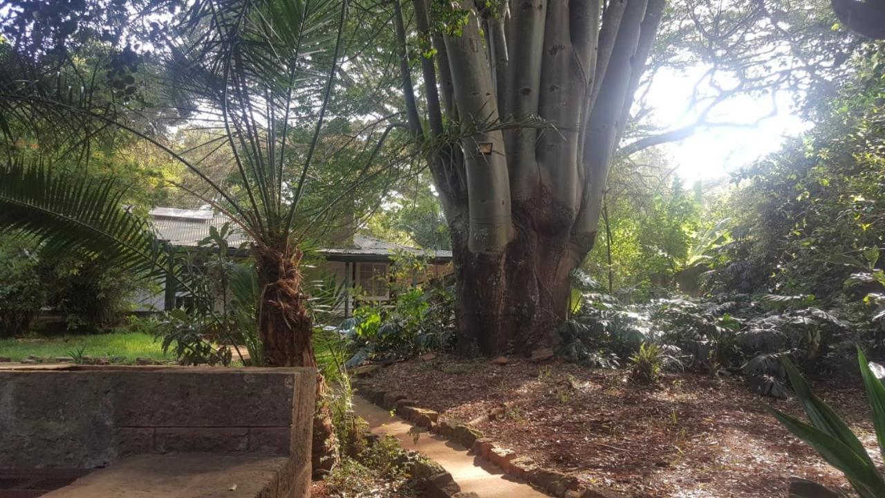 The Cottage-Place Of Grace 2Bdrm And Loft Bed All 4U At Usd58 Nairobi Exteriér fotografie